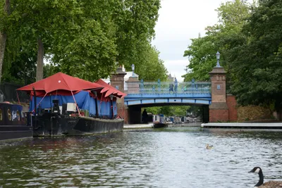 DSC_2742 (Large).JPG